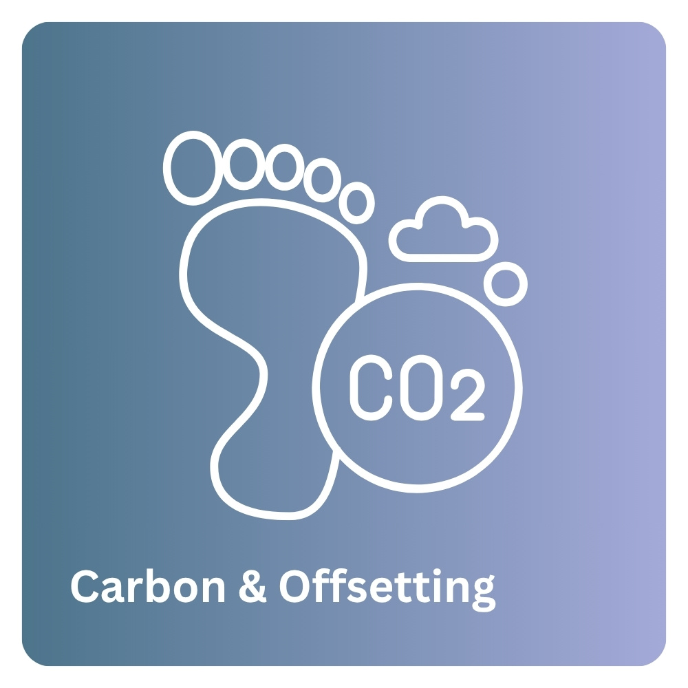 Carbon and Offsetting
