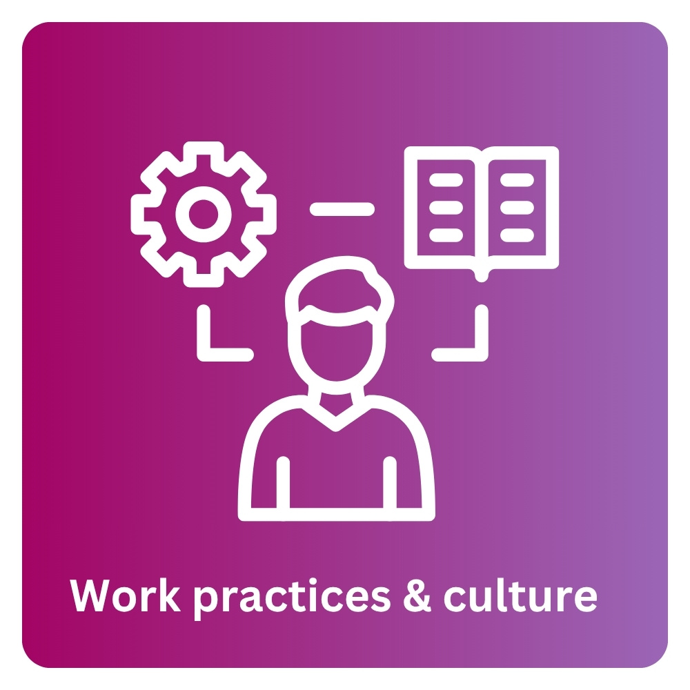 Work practices and culture