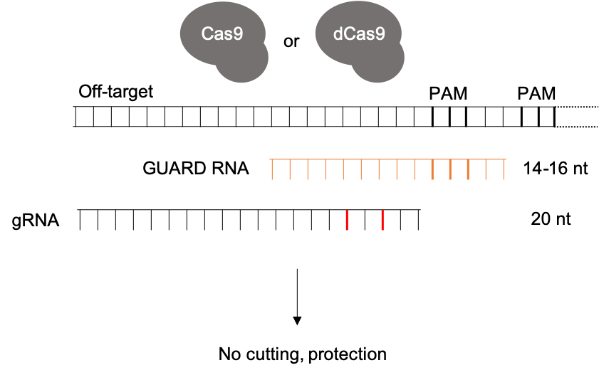 Lav harpun Stramme CRISPR GUARD Finder