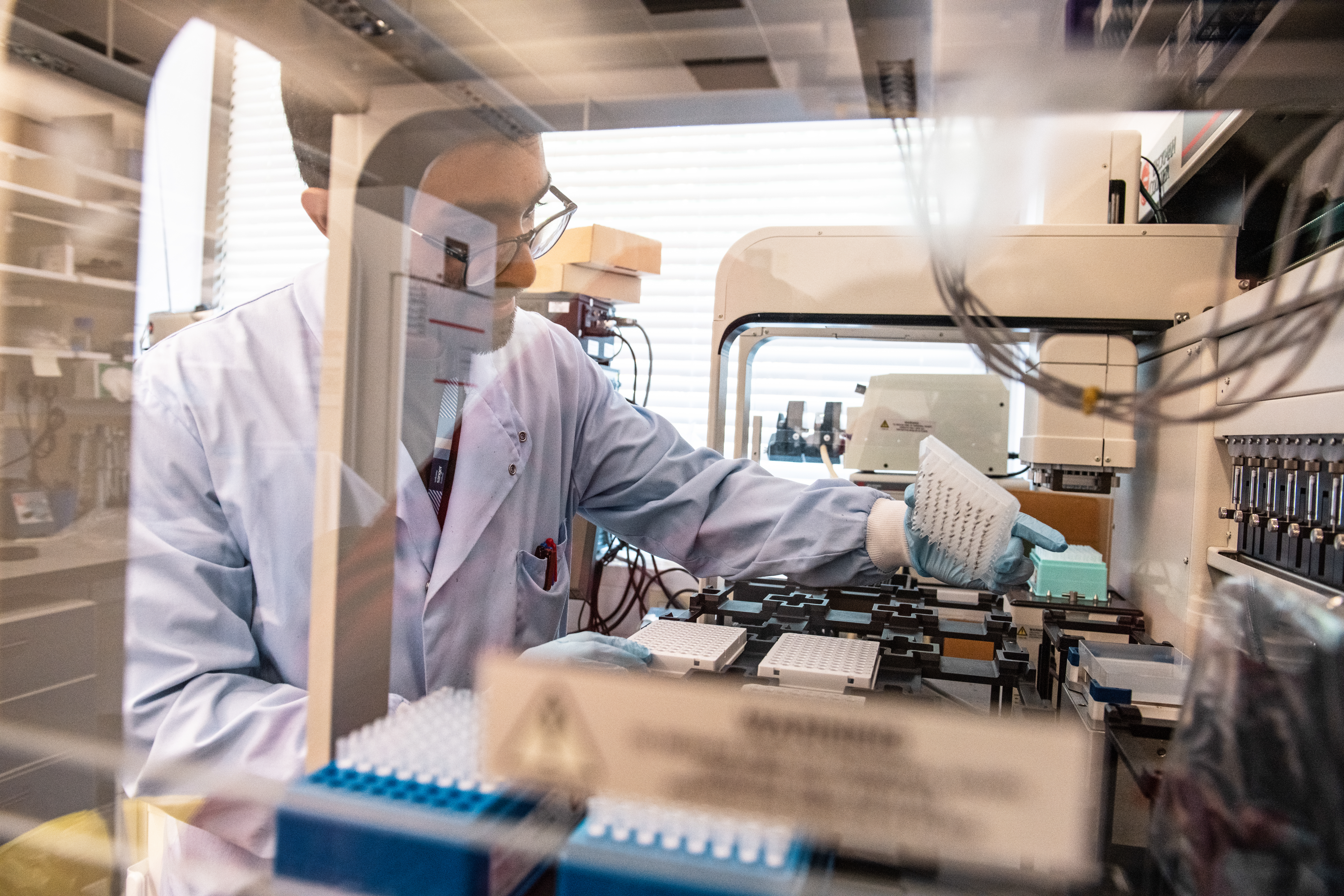Abey Cherian, a lab assistant in the Genomic Surveillance Unit, is preparing mosquito samples for sequencing. The photograph is taken through the transparent window of a fume hood and Abey is wearing a white lab coat with blue gloves.