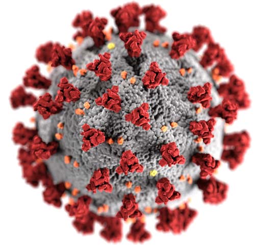 Computer model of SARS-CoV-2 virus that causes COVID-19