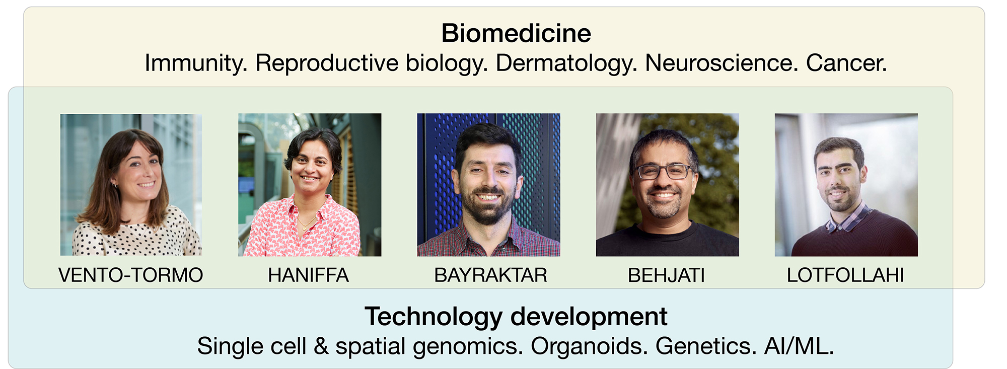 An overview of Cellular Genomics faculty and their specialisations. Faculty are Roser Vento-Tormo, Muzlifah Haniffa, Omer Bayraktar, Sam Behjati and Mo Lotfollahi. Biomedical specialisations are immunity, reproductive biology, dermatology, neuroscience and cancer. Technology development specialities are single cell and spatial genomics, organoids, genetics and AI/ML.