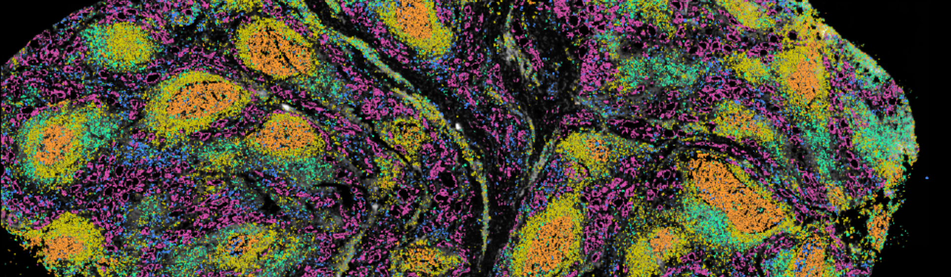 Wellcome Sanger Institute 