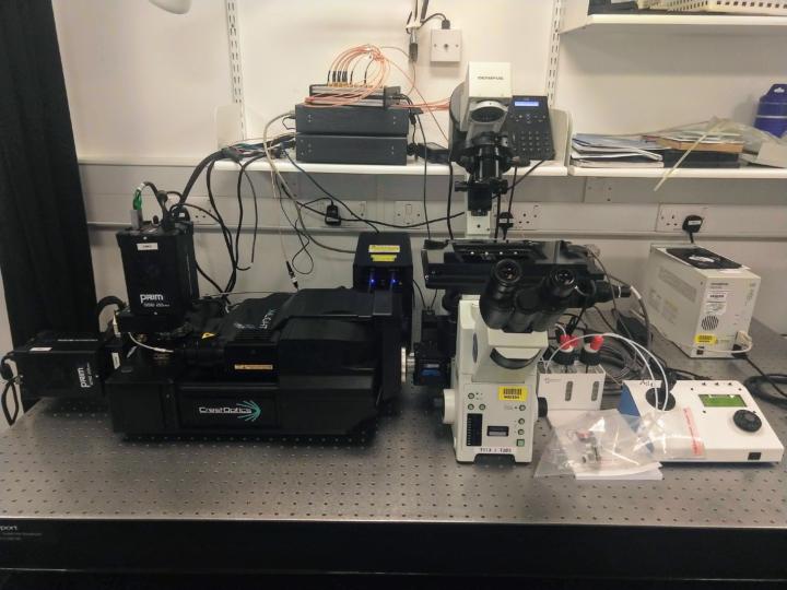 Spinning Disk Confocal Microscope