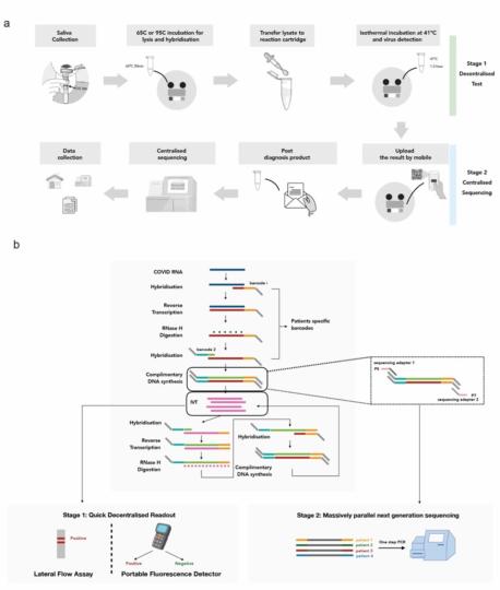 INSIGHT: A Scalable Isothermal NASBA-Based Platform for COVID-19 Diagnosis