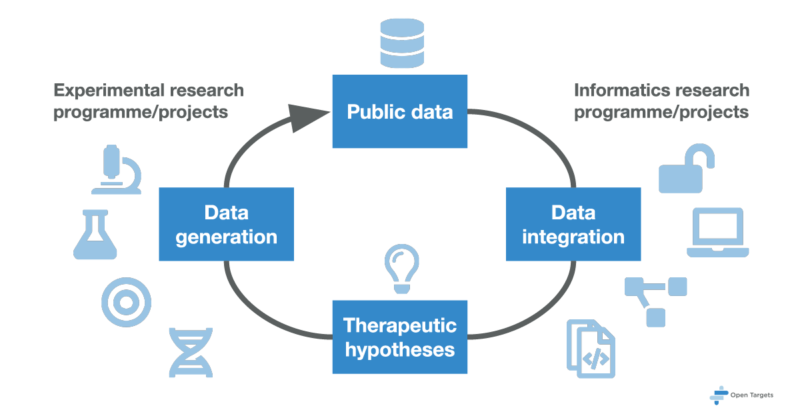 In this knowledge cycle, projects within Open Targets’ experimental research programme feed into public databases, which are then integrated by projects within the informatics research programme. The output of this analysis is used to build therapeutic hypotheses, which generate new experimental project ideas, and so the cycle starts again