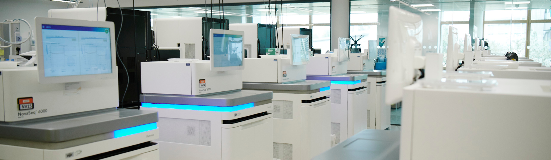 Dan Ross / Wellcome Sanger Institute