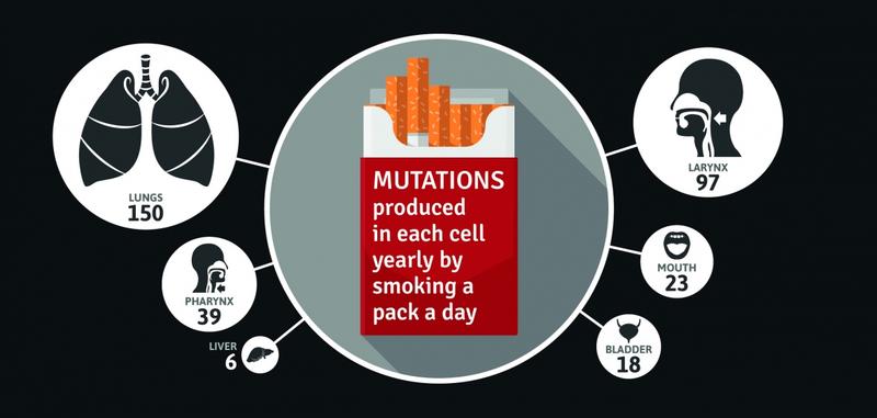 What is a Cigarette Pack Year?