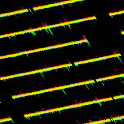 CNV Project at the Wellcome Sanger Institute