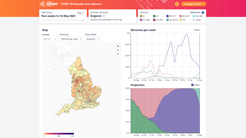 Screenshot of online COVID-19 lineages surveillance tool