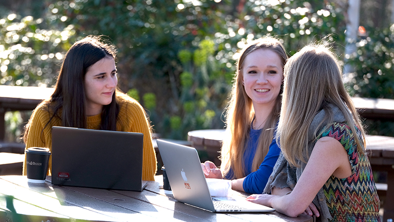 Day in the Life of a Bioinformatician at the Wellcome Sanger Institute