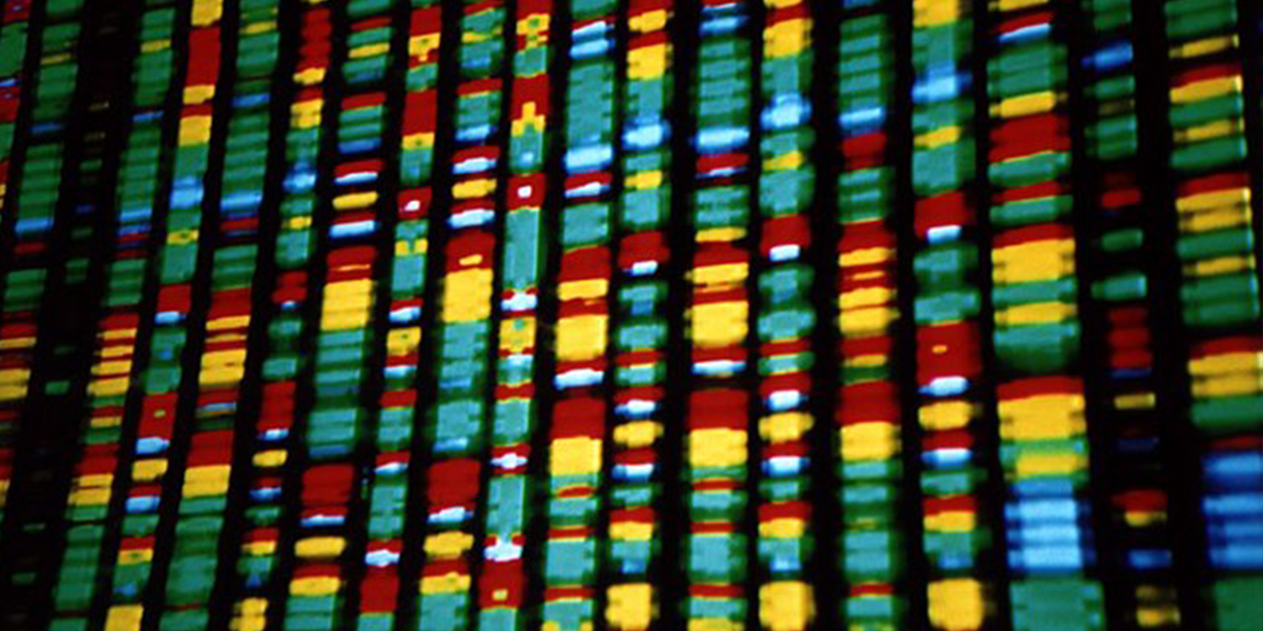 DNA size selection method for long read sequencing