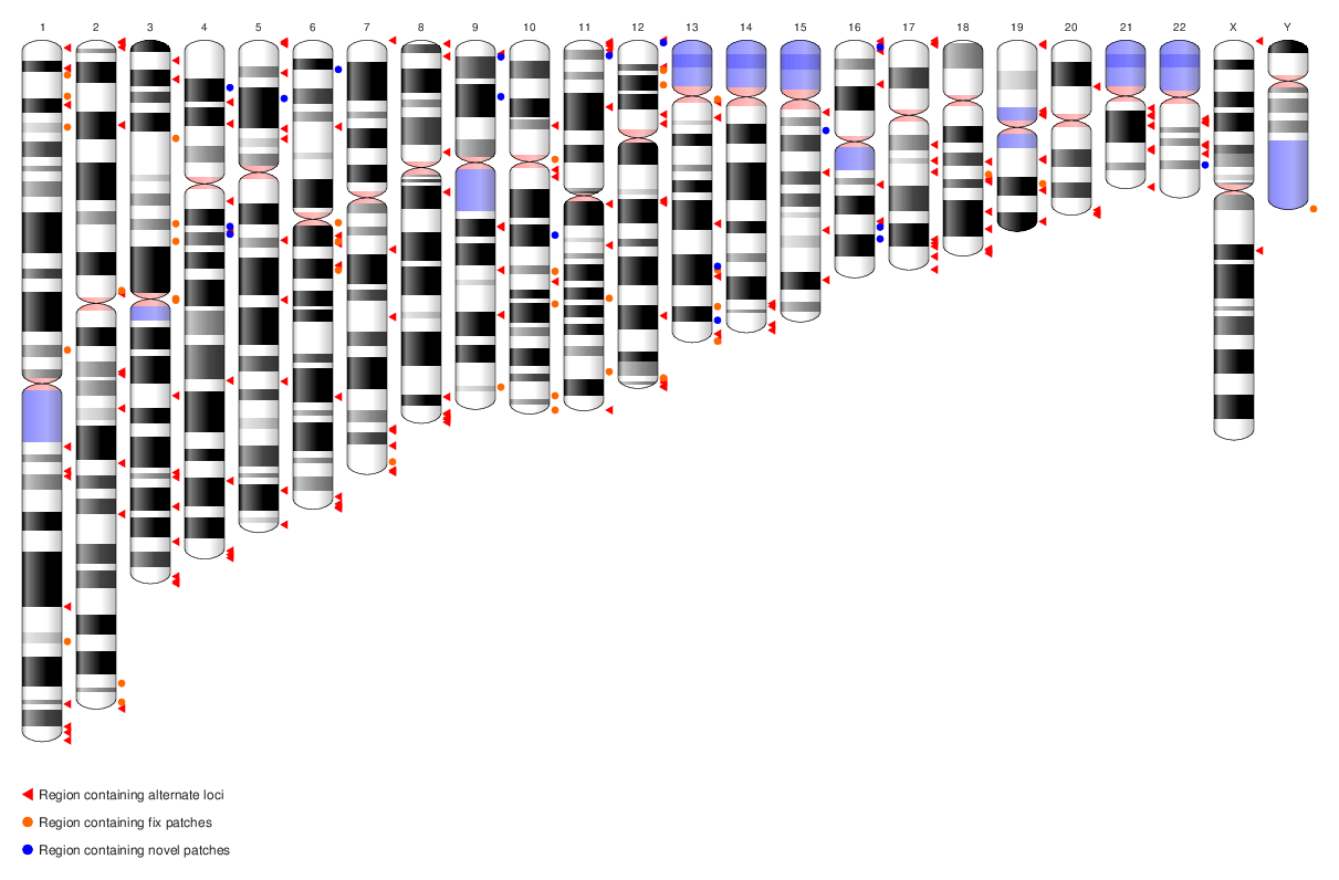 genomeGraph/library.bib at master · hsnguyen/genomeGraph · GitHub