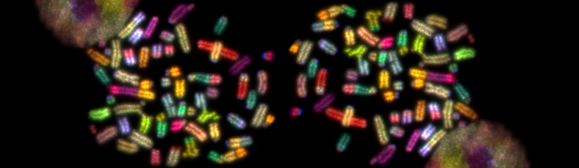 Fengtang Yang / Wellcome Sanger Institute