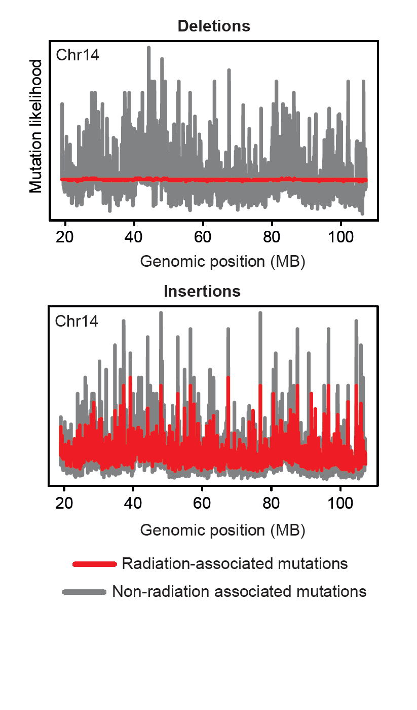 How ionising radiation damages DNA and causes cancer